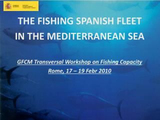 THE FISHING SPANISH FLEET IN THE MEDITERRANEAN SEA GFCM Transversal Workshop on Fishing Capacity