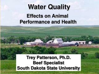 Trey Patterson, Ph.D. Extension Beef Specialist South Dakota State University