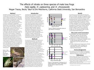 The effects of nitrate on three species of male tree frogs