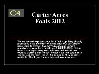 Carter Acres Foals 2012