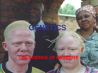 GENETICS