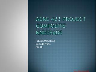 Aere 423 Project Composite Kneepads