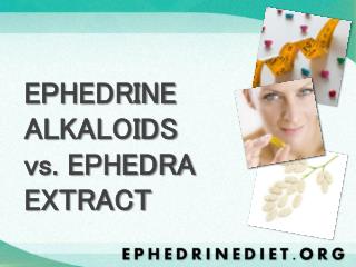 EPHEDRINE ALKALOIDS vs. EPHEDRA EXTRACT