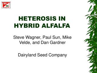 HETEROSIS IN HYBRID ALFALFA