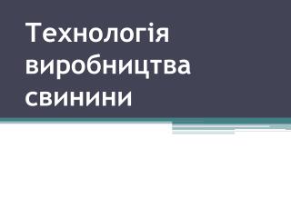Технологія виробництва свинини