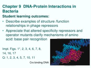 Chapter 9 DNA-Protein Interactions in Bacteria