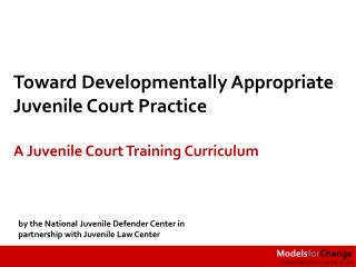 Toward Developmentally Appropriate Juvenile Court Practice :
