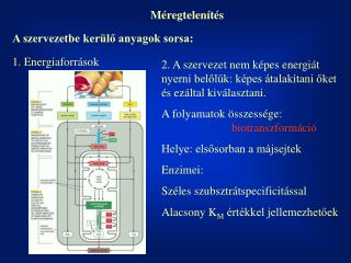 Méregtelenítés