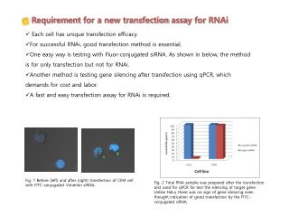 Requirement for a new transfection assay for RNAi