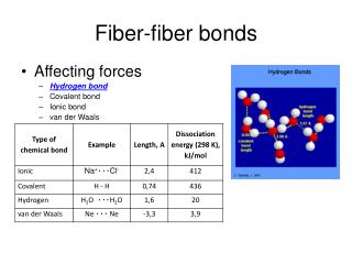 Fiber-fiber bonds