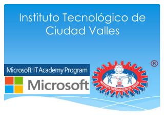 Instituto Tecnológico de Ciudad Valles
