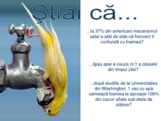 Ştiai că...