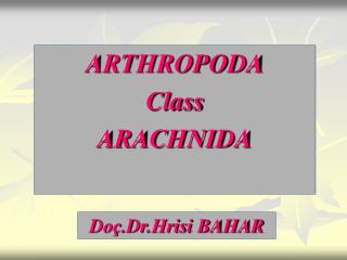 ARTHROPODA Class ARACHNIDA