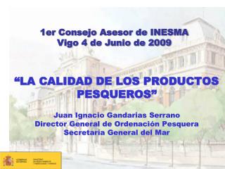 1er Consejo Asesor de INESMA Vigo 4 de Junio de 2009