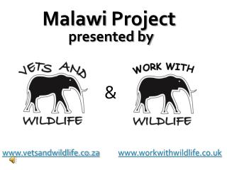 vetsandwildlife.co.za workwithwildlife.co.uk