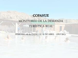 COPAHUE MONITOREO DE LA DEMANDA TURÍSTICA REAL PERIODO : 02 de ENERO AL 12 DE ABRIL - AÑO 2013