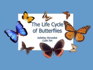 The Life Cycle of Butterflies JodieKay Wyrosdick CUIN 764