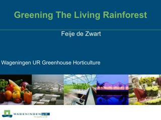 Greening The Living Rainforest