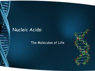 Nucleic Acids: