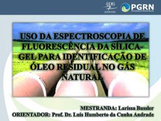 MESTRANDA: Larissa Bussler ORIENTADOR: Prof. Dr. Luis Humberto da Cunha Andrade