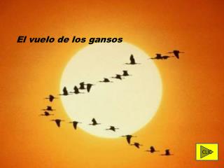 El vuelo de los gansos