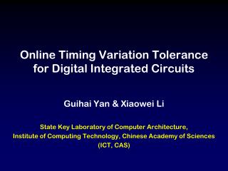 Online Timing Variation Tolerance for Digital Integrated Circuits