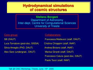 Hydrodynamical simulations of cosmic structures