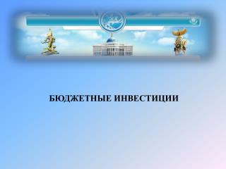 БЮДЖЕТНЫЕ ИНВЕСТИЦИИ