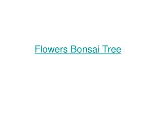 Flowers Bonsai Tree