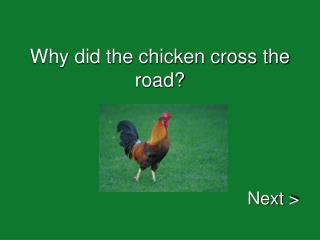 Why did the chicken cross the road?