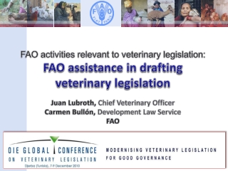 FAO activities relevant to veterinary legislation: FAO assistance in drafting