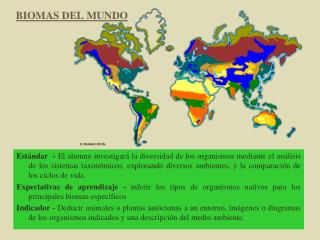 BIOMAS DEL MUNDO