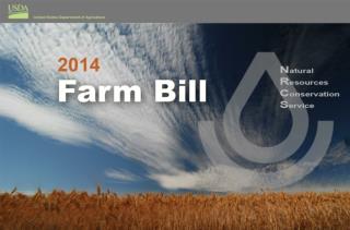 2014 Farm Bill