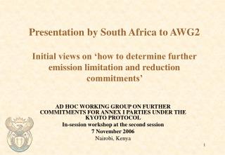AD HOC WORKING GROUP ON FURTHER COMMITMENTS FOR ANNEX I PARTIES UNDER THE KYOTO PROTOCOL