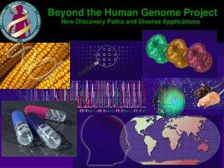 Beyond the Human Genome Project