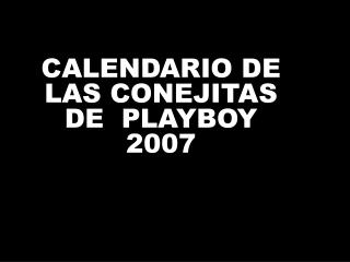 CALENDARIO DE LAS CONEJITAS DE PLAYBOY 2007