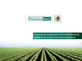 Proyectos de Generación y Aprovechamiento de Biogás en Granjas y Financiamiento Forestal