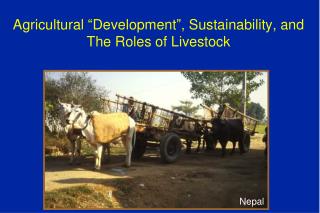 Agricultural “Development”, Sustainability, and The Roles of Livestock