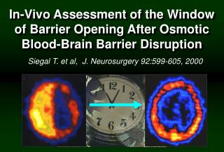 In-Vivo Assessment of the Window of Barrier Opening After Osmotic Blood-Brain Barrier Disruption