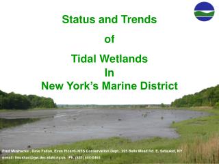 Status and Trends of Tidal Wetlands In New York’s Marine District