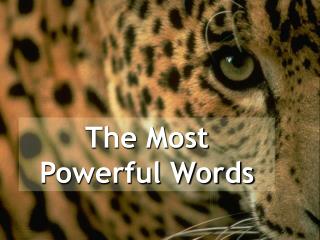 The Most Powerful Words