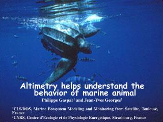 Altimetry helps understand the behavior of marine animal