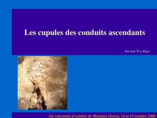 Les cupules des conduits ascendants