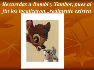Recuerdas a Bambi y Tambor, pues al fin los localizaron...realmente existen