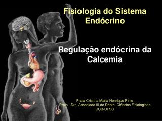 Fisiologia do Sistema Endócrino Regulação endócrina da Calcemia