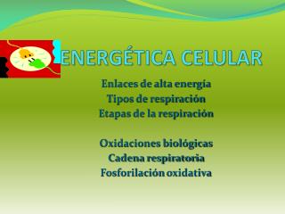 Energética celular