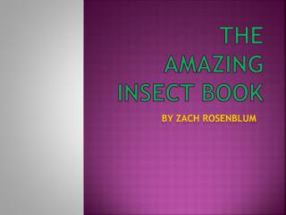 the amazing insect book
