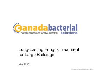 Long-Lasting Fungus Treatment for Large Buildings May 2013