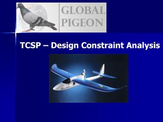 TCSP – Design Constraint Analysis