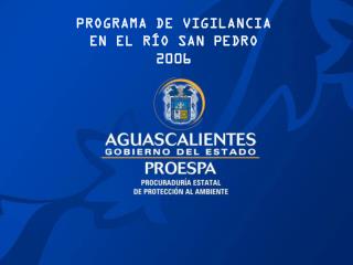 PROGRAMA DE VIGILANCIA EN EL RÍO SAN PEDRO 2006